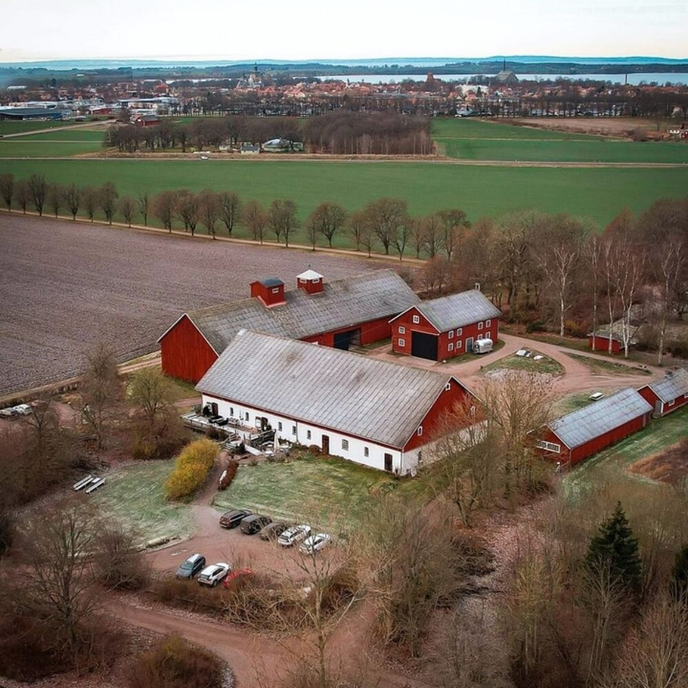 484538632_1166570498595558_5436181712781172761_n